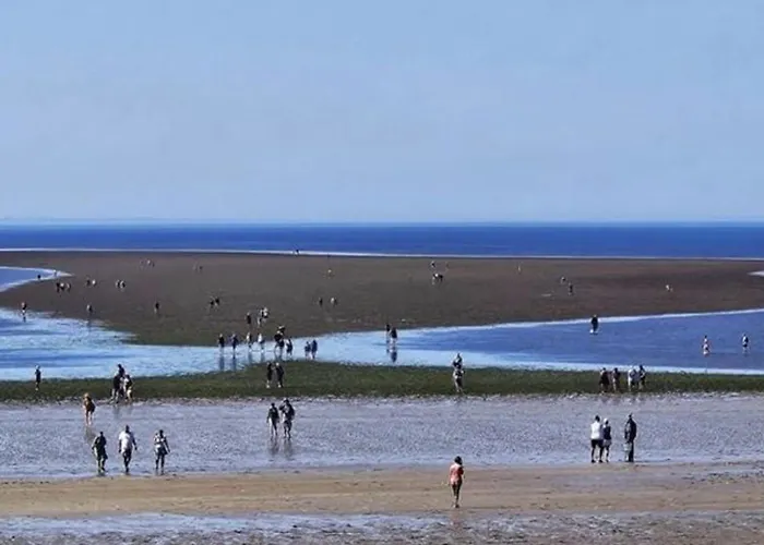 Mobil Avec Terrasse Pour 6 Personnes - Api-1-52-615 *