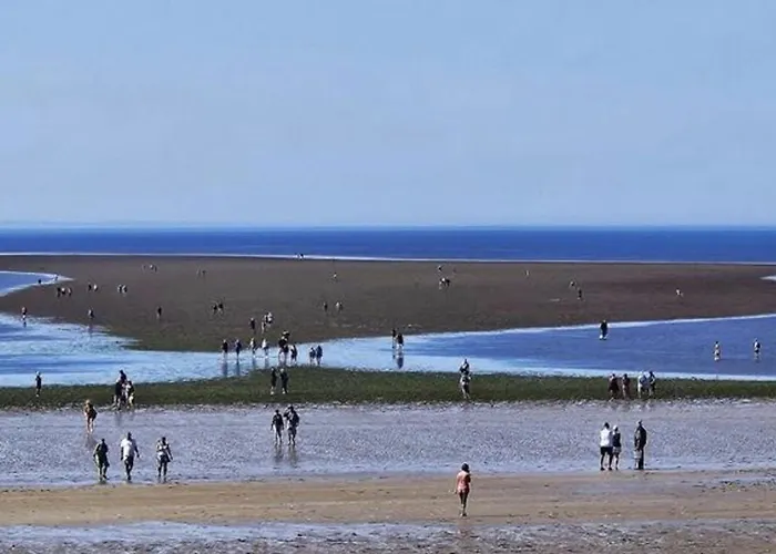 Mobil Avec Terrasse Pour 6 Personnes - Api-1-52-615 مكان تخييم *