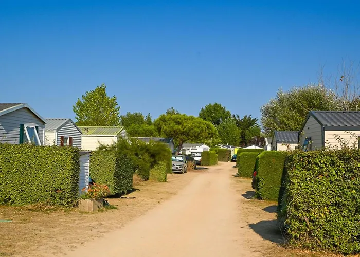 Mobil Avec Terrasse Pour 6 Personnes - Api-1-52-615 *