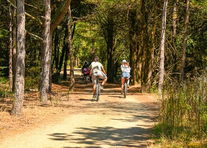 Mobil Avec Terrasse Pour 6 Personnes - Api-1-52-615 مكان تخييم *