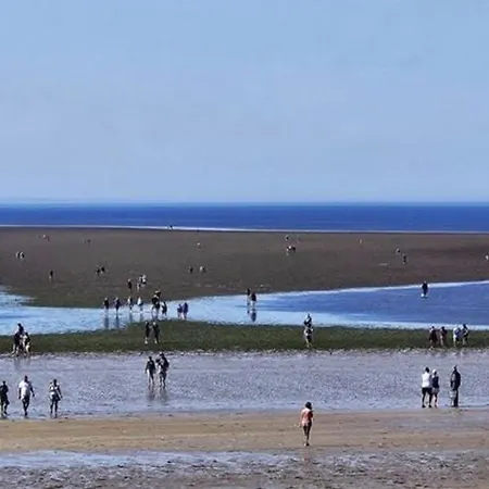 Mobil 6 Pers Avec Terrasse A - Api-1-52-615 *