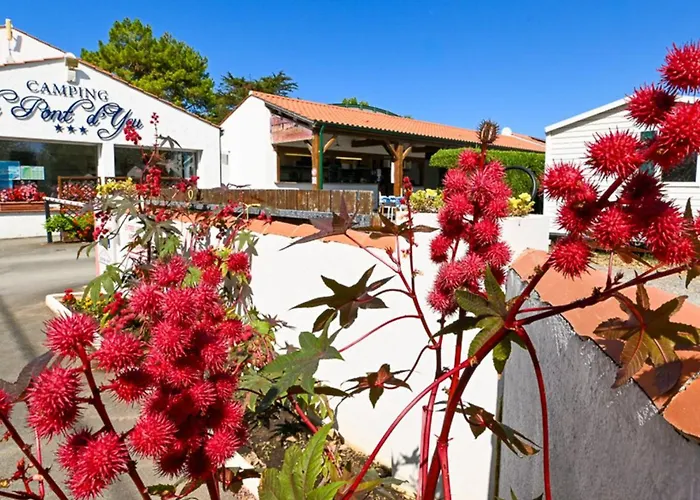 Mobil Avec Terrasse Pour 6 Personnes - Api-1-52-615 *